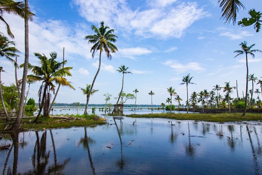 Kerala Bliss Burst Tour