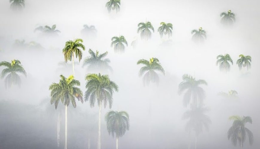 10 countries facing the worst of climate change